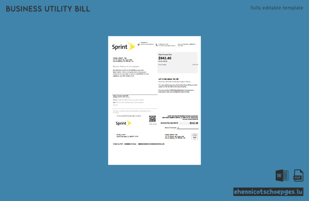 Beispielrechnung für Geschäftskunden von Sprint und T-Mobile